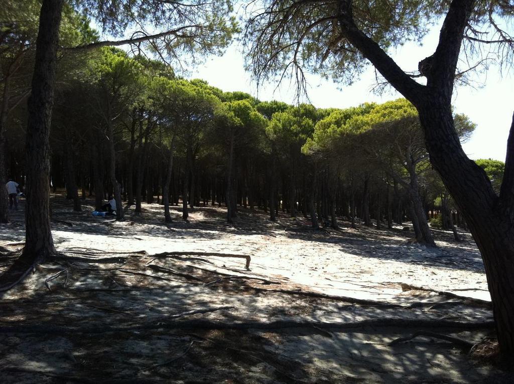 Case Vacanze Budoni Beach Δωμάτιο φωτογραφία